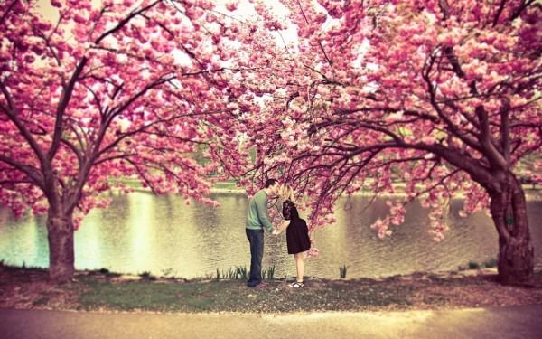 606105-1000-1458119058-4379105-R3L8T8D-1000-sakura-tree-flower-spring-pond-couple-kiss-love-nature-e1475150930535.jpg