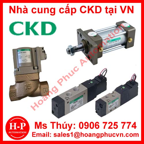 Dai-ly-van-dien-tu-CKD-tai-viet-nam.jpg