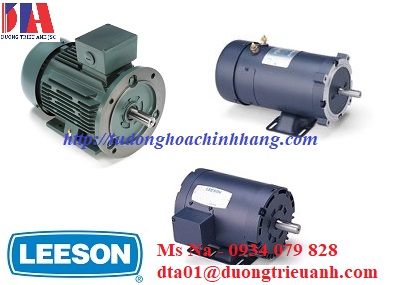 dong co motor Leeson.jpg