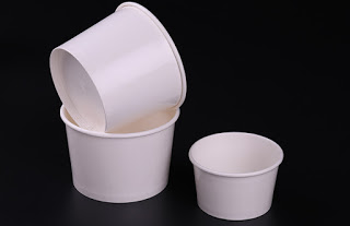 double-membrane-paper-bowl-03.jpg