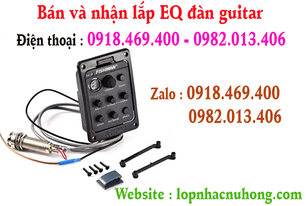 eq guitar fishman go vap.jpg