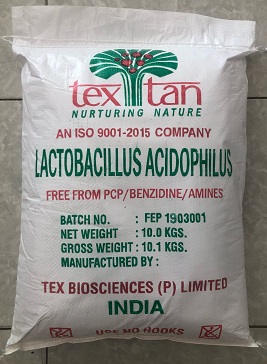 Lactobacillus acidophilus.jpg