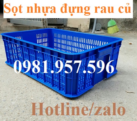 sọt nhựa đựng rau củ 4.jpg