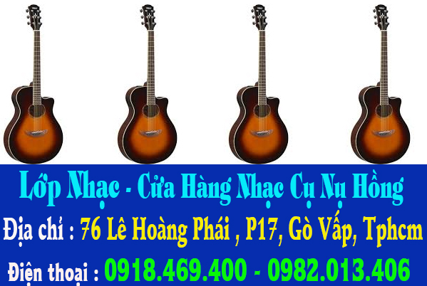 sua dan guitar tphcm 11.jpg