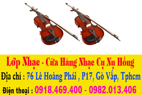 sua dan violin 1.jpg