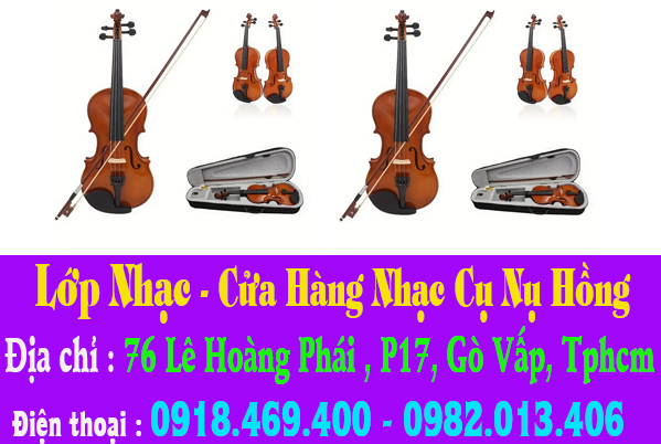 sua dan violin 10.jpg