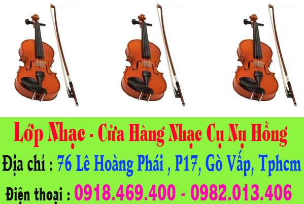 sua dan violin 2.jpg