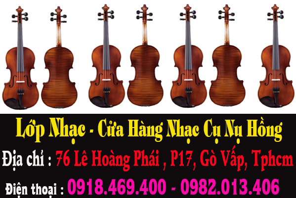 sua dan violin 7.jpg