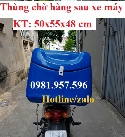 thùng chở hàng sau xe máy cỡ trung.jpg