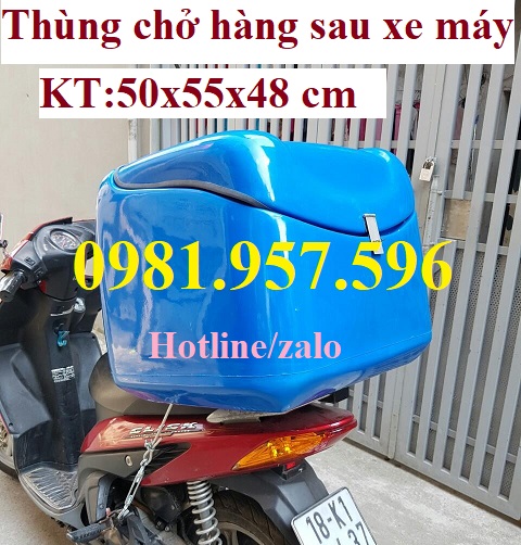 thùng chở hàng sau xe máy.jpg