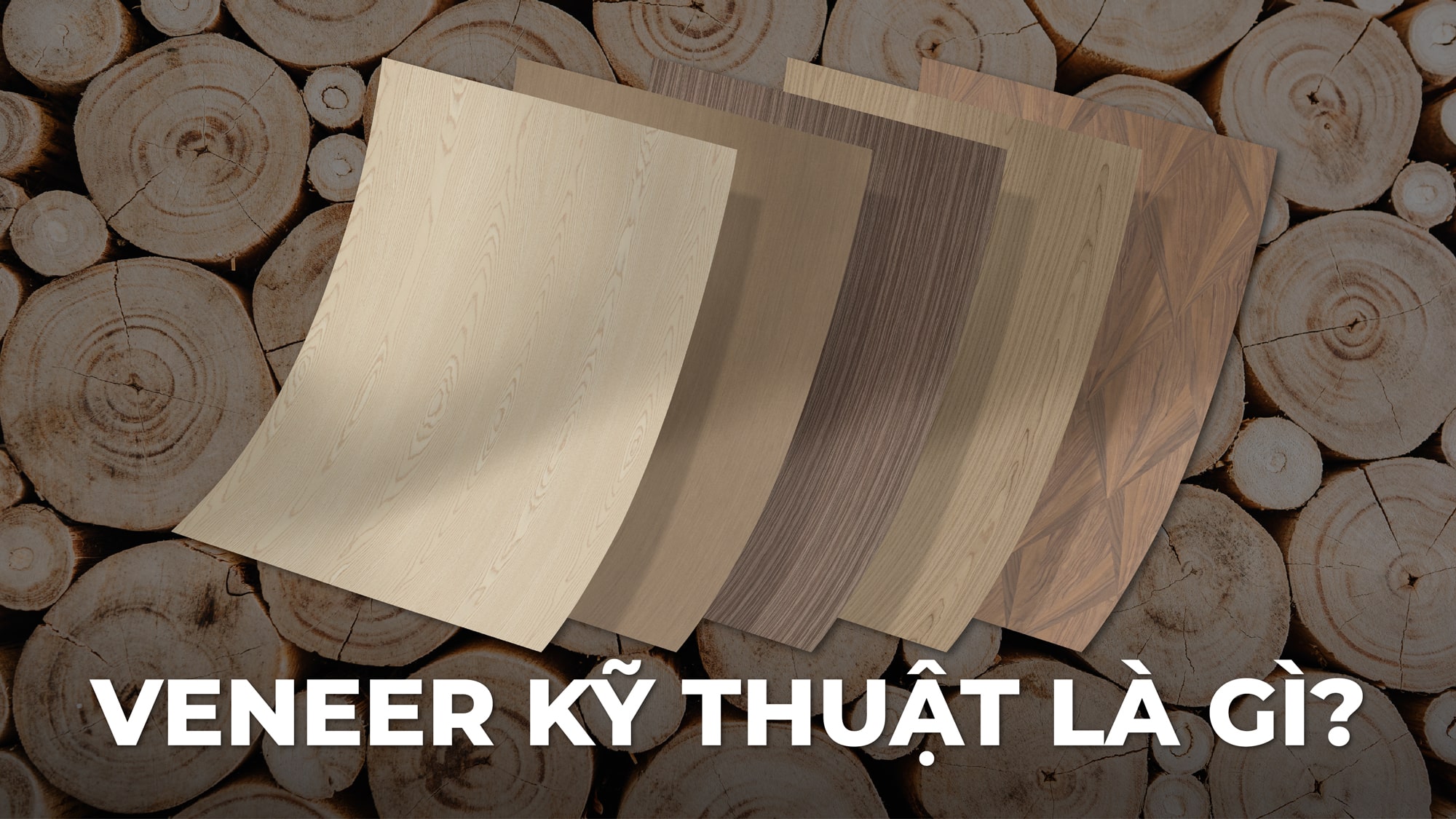 veneer-ky-thuat-la-gi.jpg