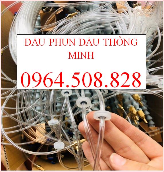 Dau tu cuc hot Vuon Vua Resort Thanh Thuy BT khoang nong Onsen hiem co ven Ha Noi