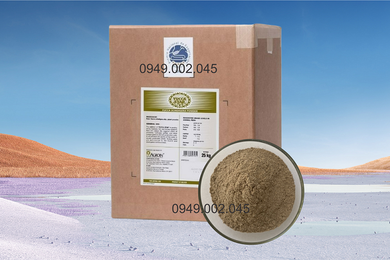 YUCCA STAR POWDER 9.png