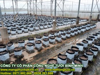 lắp đặt nhà lưới chi phí thấp_2.jpg