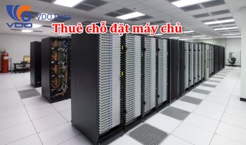 thue-cho-dat-may-chu.jpg