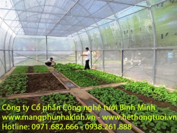 mang che nha kinh1.jpg