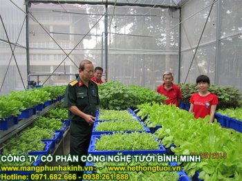 nhà lưới chắn côn trùng bảo vệ rau sạch.jpg