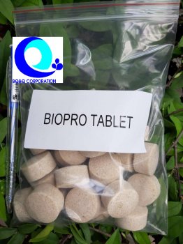 Biopro tablet 1.jpg.JPEG