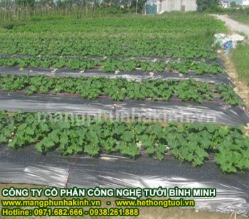 báo giá màng phủ nông nghiệp.jpg