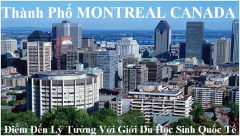 TP.-MONTREAL.jpg