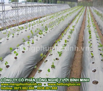 công ty màng phủ nông nghiệp hà nội.jpg