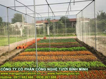 các mô hình nhà lưới trồng rau hiện nay.jpg