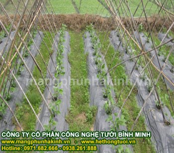 mang phu nong nghiep cho vuon hoa.jpg