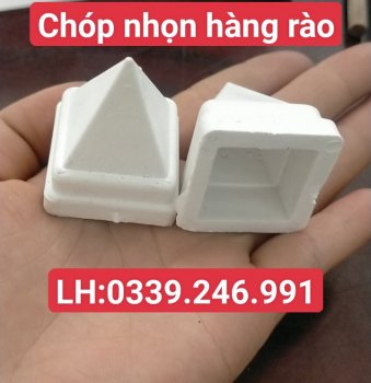 chóp-hàng-rào.jpg