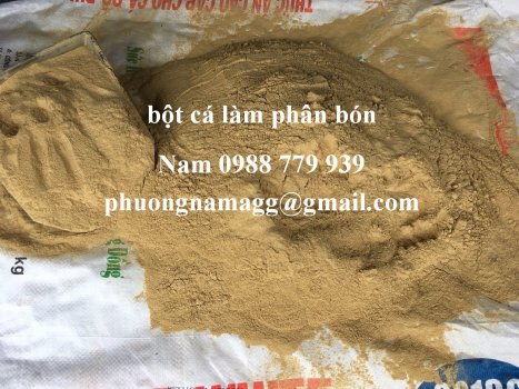 bot ca lam phan bon - Copy.jpg