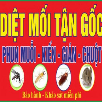 diet-moi-tan-goc.jpg