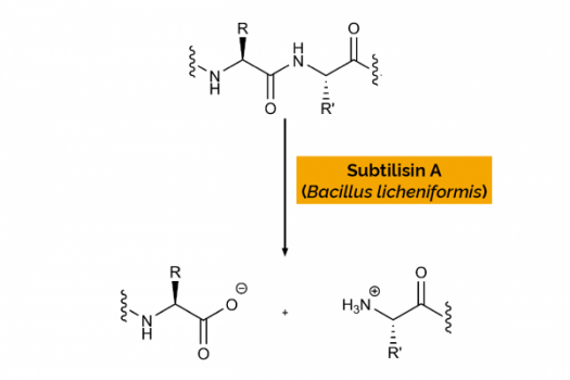 Scheme-E-BSPRT_600x600.png