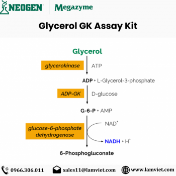 Glycerol GK Assay Kit (2).png