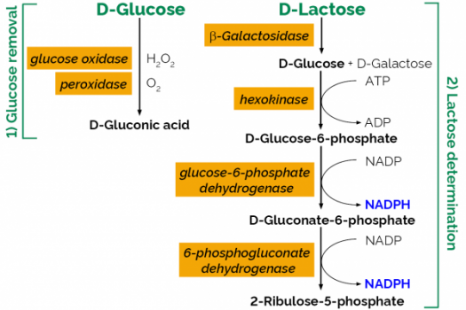 Scheme-K-LOLAC-ProdIm_600x600.png