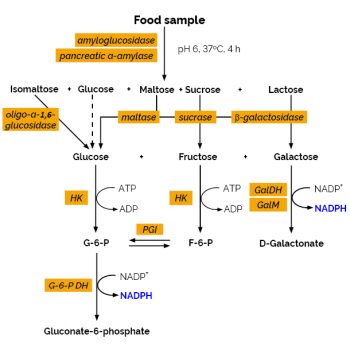 Scheme-K-AVCHO-610-x-610.png