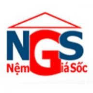 NemGiaSoc