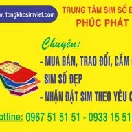 tongkhosimviet