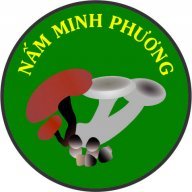 namminhphuong