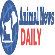 animalnews24