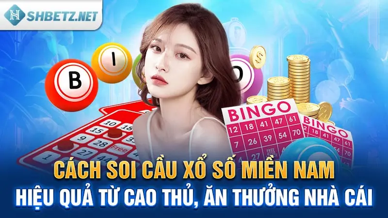 cach-soi-cau-xo-so-mien-nam-hieu-qua-tu-cao-thu-an-thuong-nha-cai.webp