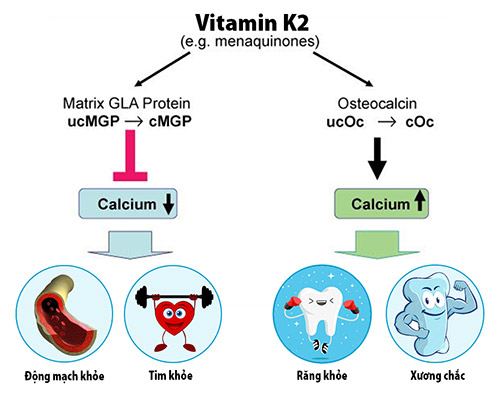 vitamin%20d3k2-.jpg