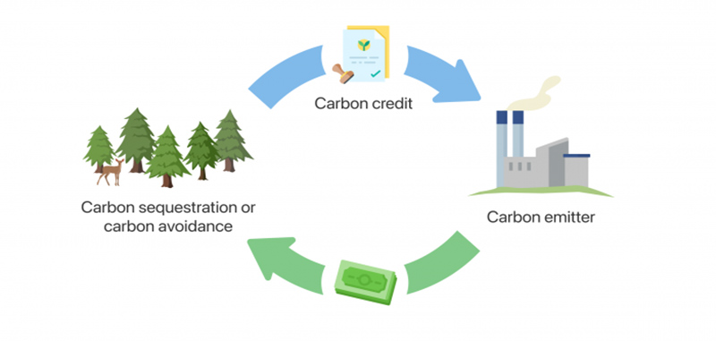 Net Zero là gì?