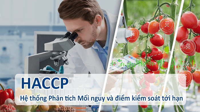 tieu-chuan-haccp.png