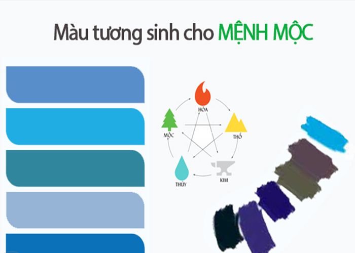 Vậy người mang mệnh Mộc hợp với màu gì?