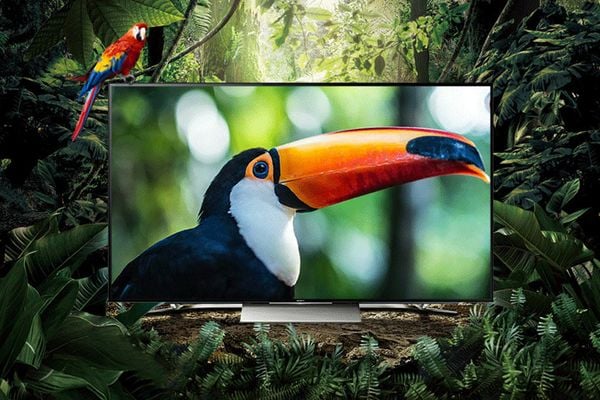 TV Sony  có thể tối ưu hóa hình ảnh để cung cấp trải nghiệm xem tốt nhất ngay cả khi xem video có độ phân giải thấp hơn.