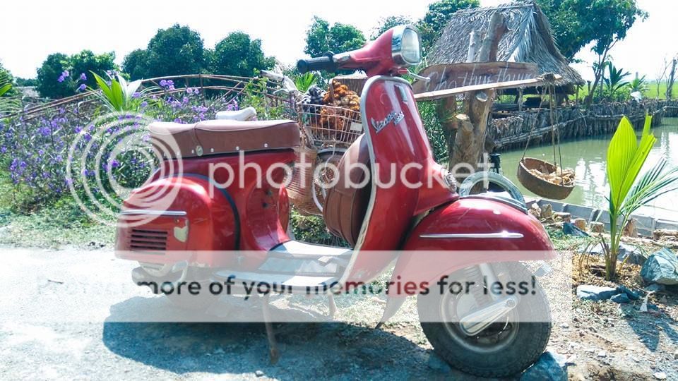 vespa1_zpsngpgrcfc.jpg