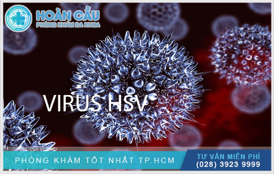 virus-hsv-la-gi.jpg