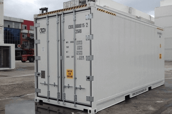 thue-container-lanh-20-feet.png