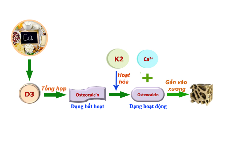 -vitamin%20d3k2.jpg