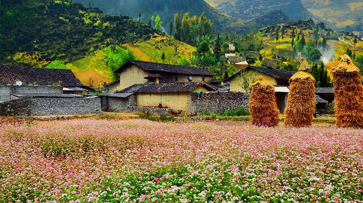 nhung-dia-diem-du-lich-tai-ha-giang-9.jpg