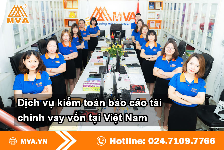 Tìm hiểu dịch vụ kiểm toán vay vốn tại Việt Nam
